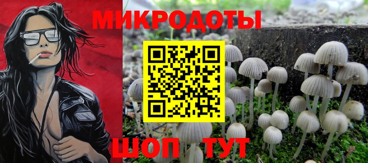 Псилоцибиновые грибы Psilocybe Балашиха