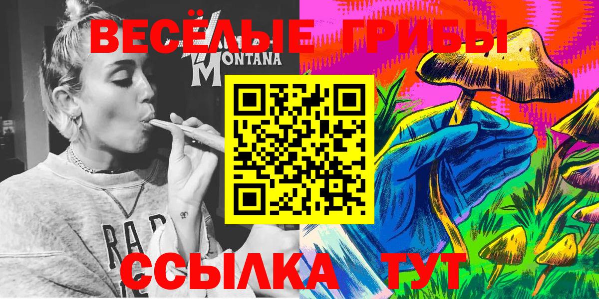 Псилоцибиновые грибы Psilocybe  Вход с VPN  Балашиха 